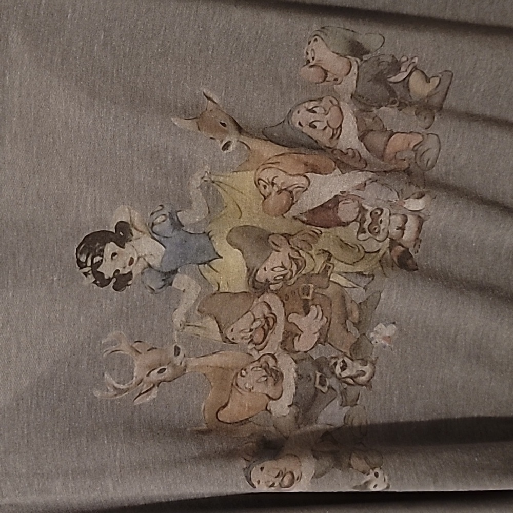 Disney Snow White Top